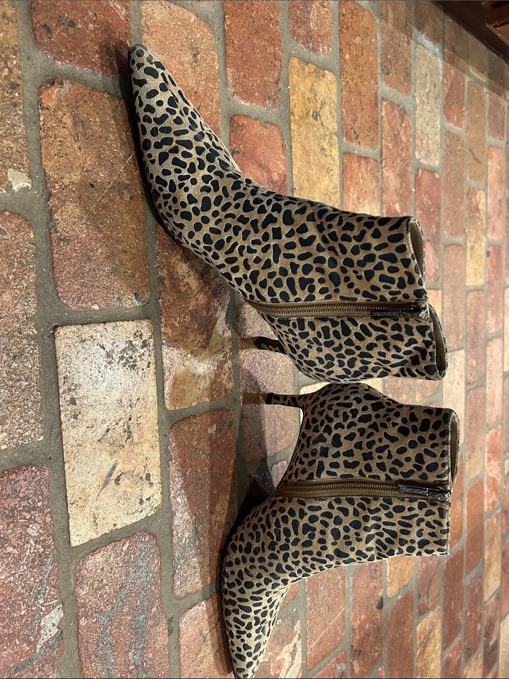 Colin Stuart Leopard Print Pointed Toe Ankle Booties - Tan & Black
